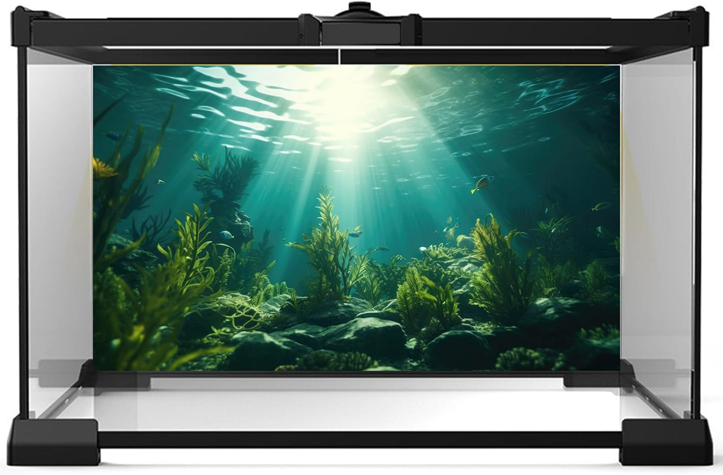 Ocean Aquarium Background Aquatic Plants with Rocks Terrarium Backdrop Sunlight Rays Deep Sea Fish Tank Background Aquarium Wallpaper Poster Decor Vinyl 36x24in