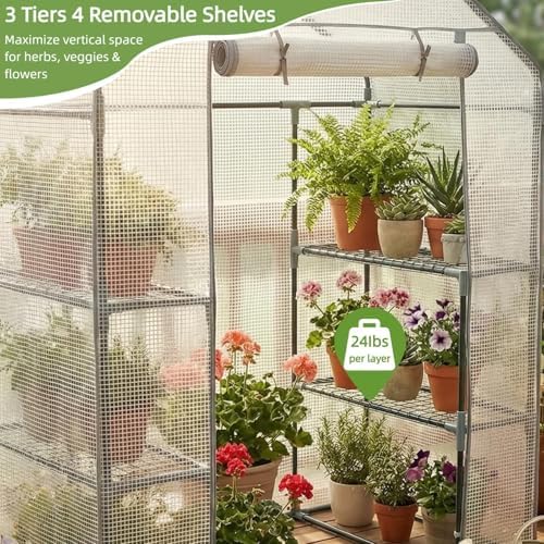 Walk-in Greenhouse 55*29*77in, Outdoor Plant Shelter for Garden