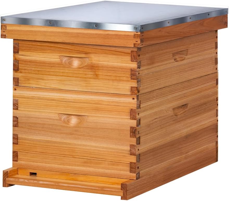 POLLIBEE 10 Frame Bee Hive,Beeswax Coated Beehive Kit for Bee Keeper,Complete Beehive Include 1 Deep Brood Bee Box and 1 Medium Bee Hive Box with Frame and Foundation