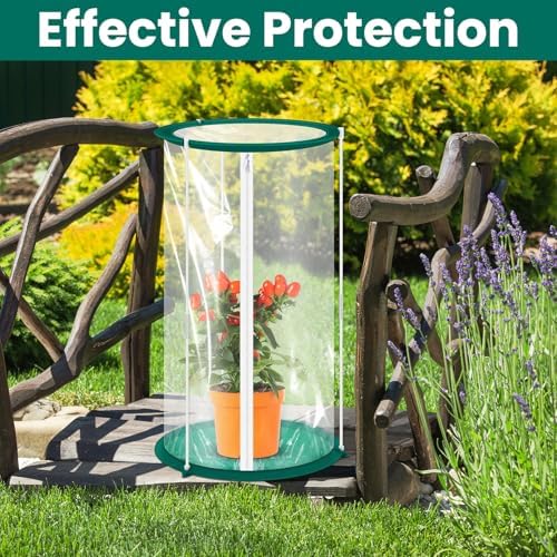 Nuanchu 1 Piece Mini Greenhouse PVC Plant Cover 19.7 x 10.2 Inch Cover