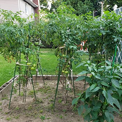 Garden Plant Stakes, 57 Inch (Approx 5Ft) Steel Tomato Stakes, 25 Pack