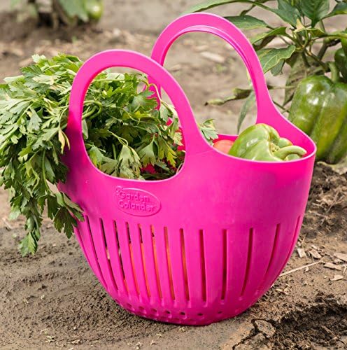 Hutzler Mini Colander Garden Basket, Small, Green