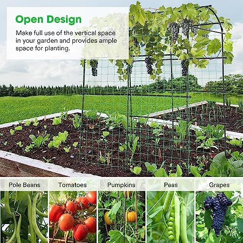VIVOSUN 7Ft. Arch Trellis for Climbing Plants, 7 x 6 x 7ft Tall Metal Tunnel Trellis, Lightweight Metal Plant Support Archway with Nylon Netting for Climbing Vine, Vegetables, Fruits, Flowers, Black