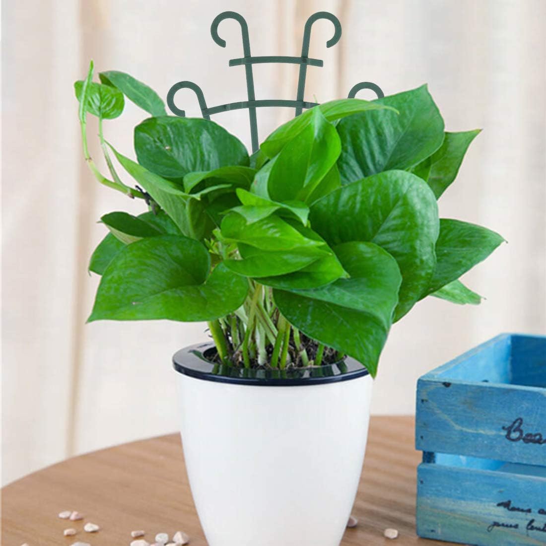 12 Pack Trellis for Potted Plants, Garden Trellis for Climbing Plants Plastic Mini Climbing Plant Trellis Flower Pots Support Stackable Trellis for Climbing Plants Peas, Dark Green