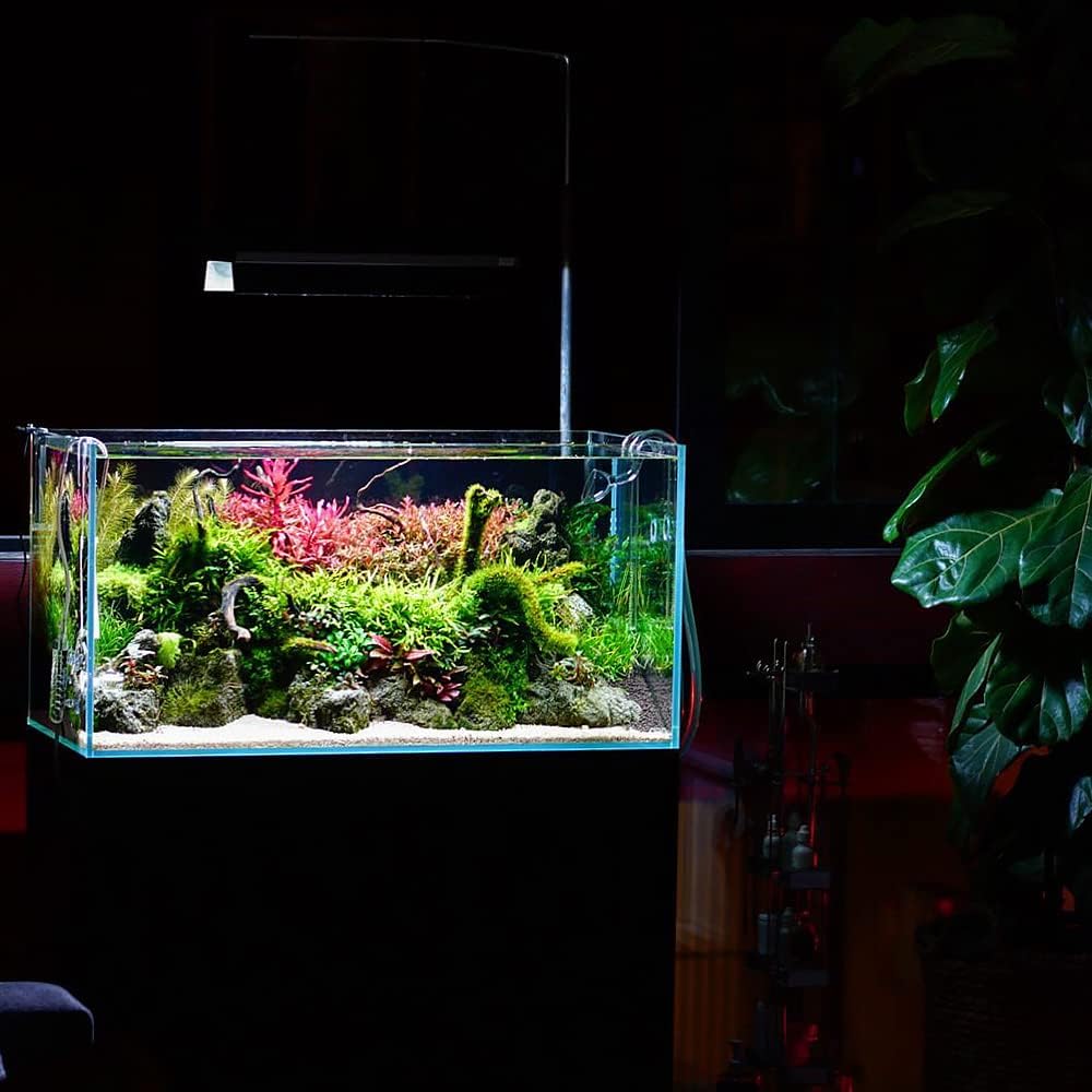 Live Aquarium Red Stem Plants - Freshwater Aquatic Plant for Fish Tanks, Aquascaping - (Rotala Wallichii, 1 Bunch)