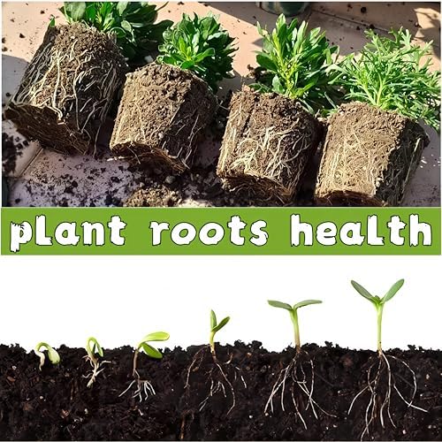 240 Cells Seed Starter Tray, 24 Pack Seed Starter Kit