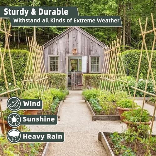 30Pcs / 7ft Bamboo Plant Stakes for Indoor Outdoor Plants, Garden Plant Support Sticks, Poles for Tomato Vegetables Beans Trees Potted Climbing Plants(0.32''-0.4'')