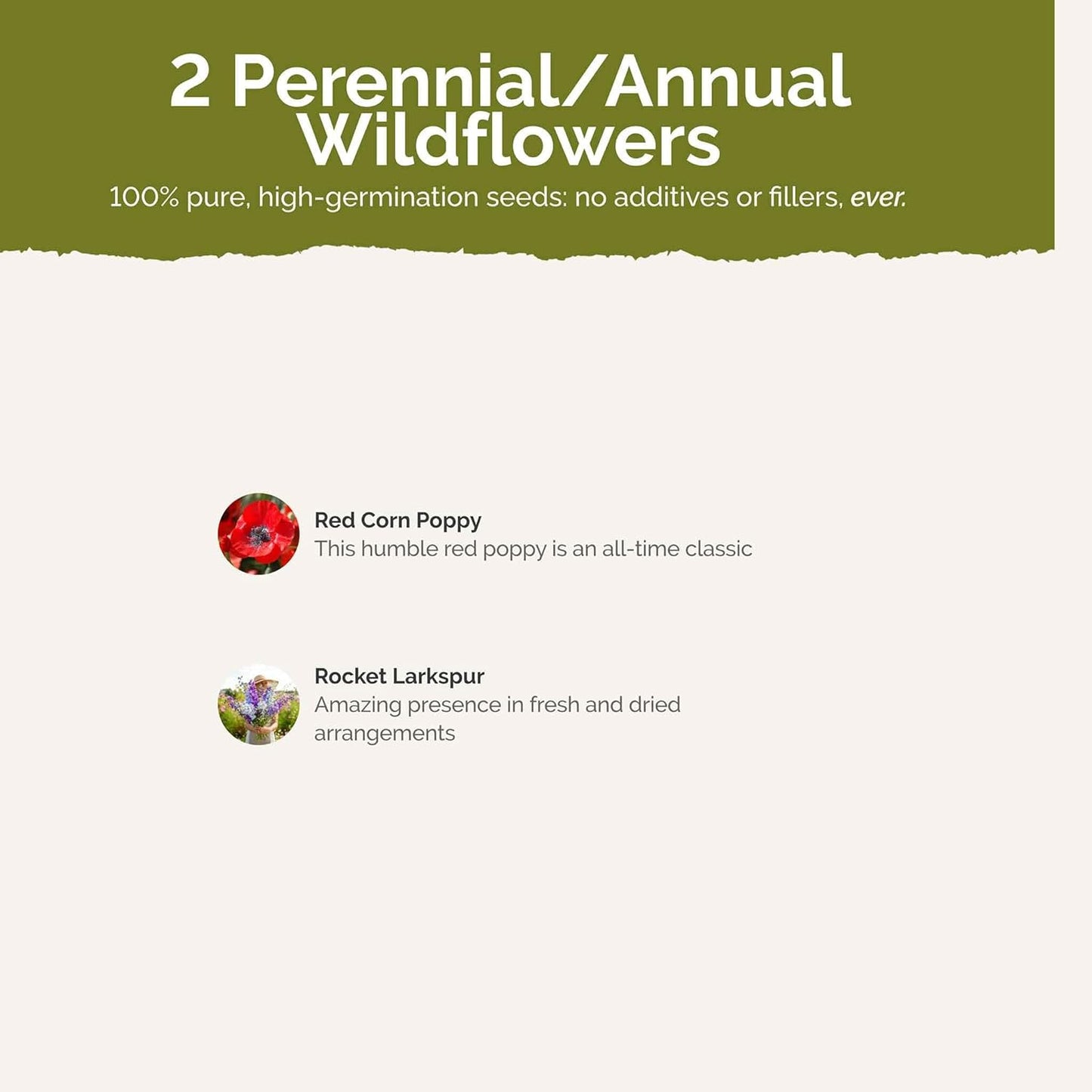 Eden Brothers Power Couple Flower Mixed Seeds for Planting, 1/4 lb, 120,000+ Seeds with Rocket Larkspur, Bupleurum | Attracts Pollinators, Plant in Spring or Fall, Zones 3, 4, 5, 6, 7, 8, 9, 10