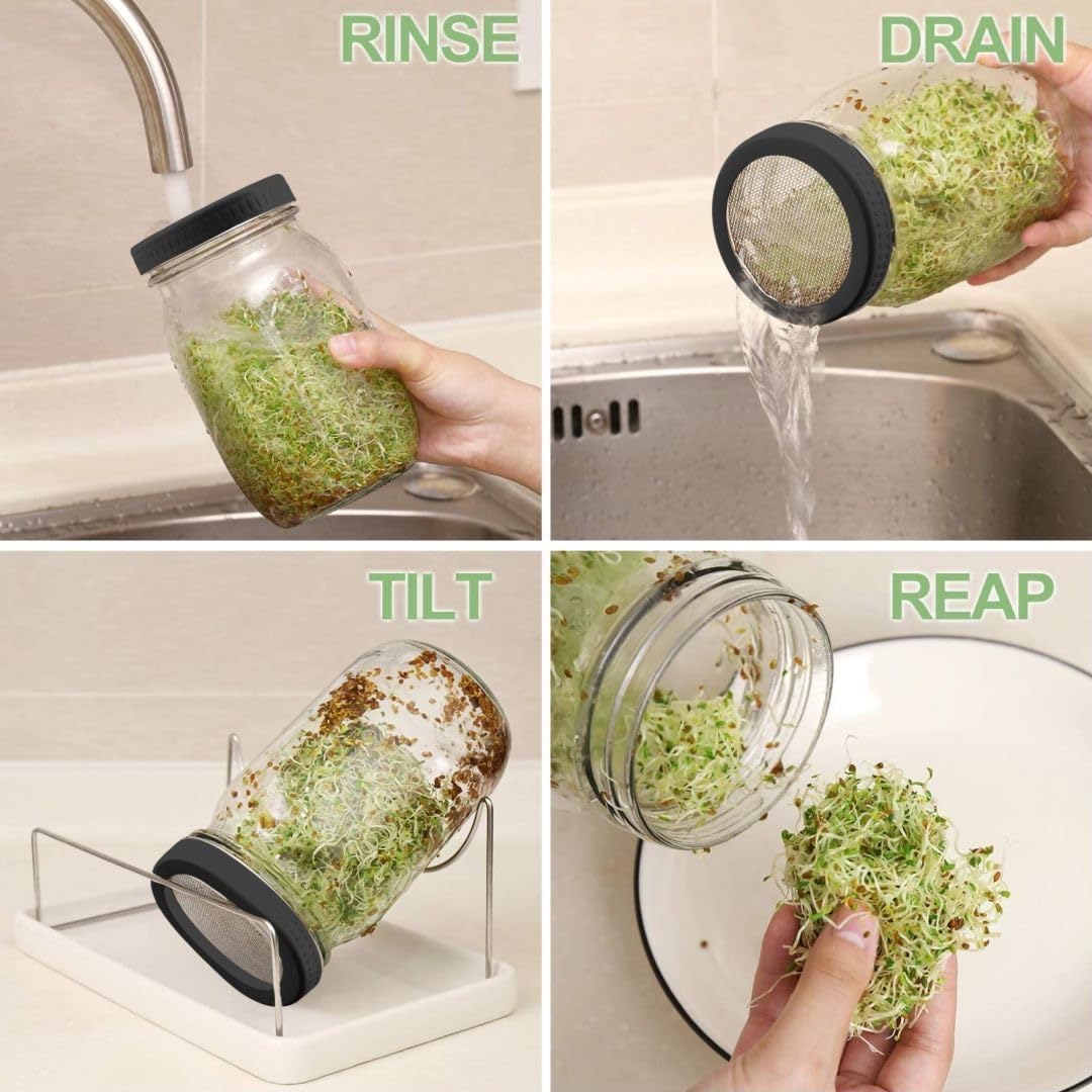 Organic Seed Sprouting Jar Kit – 2 × 32 oz Wide-Mouth Mason Jars with Stainless-Steel Sprouter Lids & Stand, Blackout Sleeves, Drain Tray – Grow Broccoli, Alfalfa & Bean Microgreens