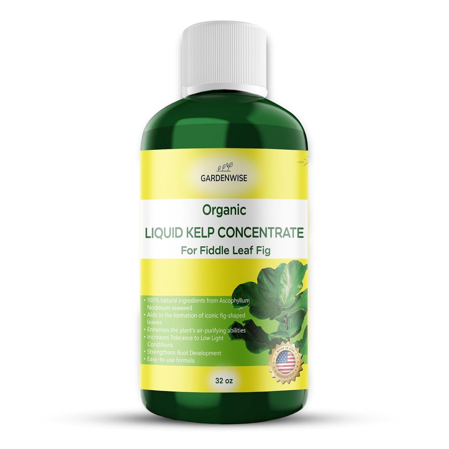 Fiddle Leaf Fig Plant Food – Liquid Seaweed Kelp Fertilizer for Plants – Made in USA (32 OZ)