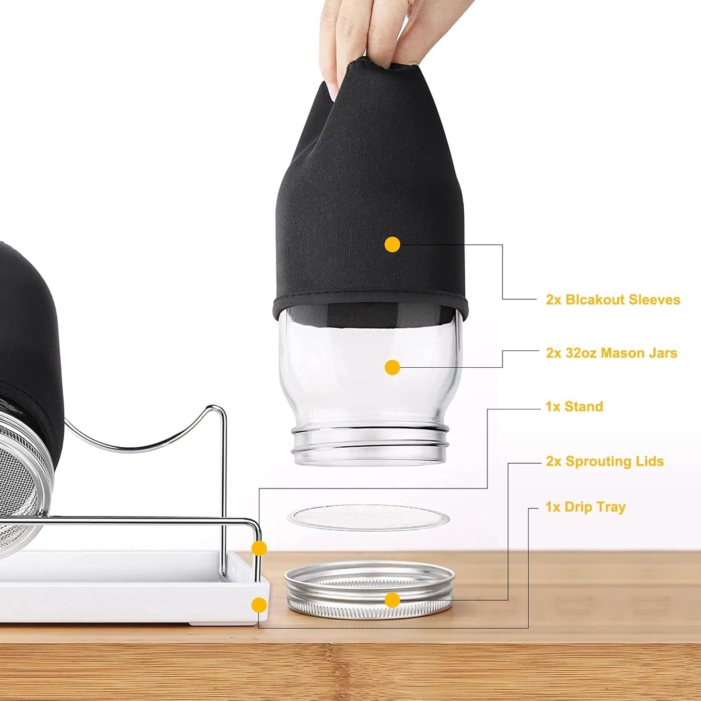 Organic Seed Sprouting Jar Kit – 2 × 32 oz Wide-Mouth Mason Jars with Stainless-Steel Sprouter Lids & Stand, Blackout Sleeves, Drain Tray – Grow Broccoli, Alfalfa & Bean Microgreens
