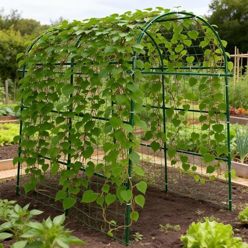 Garden Arch Trellis for Climbing Plants Outdoor - 83" H*71" W*43" L (Green)