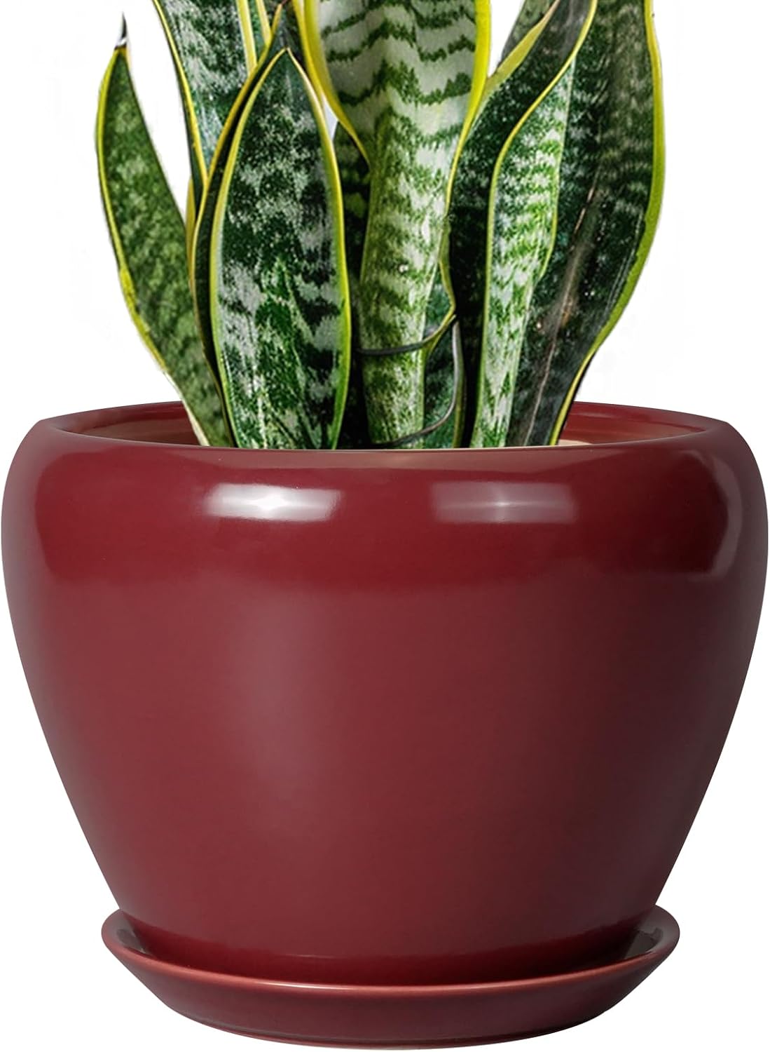 Ceramic Planter - 8 Inch Plant Pot Indoor with Drainage Hole and Saucer Planter for Outdoor Plants Round Flower Pot for House Patio Decor Red