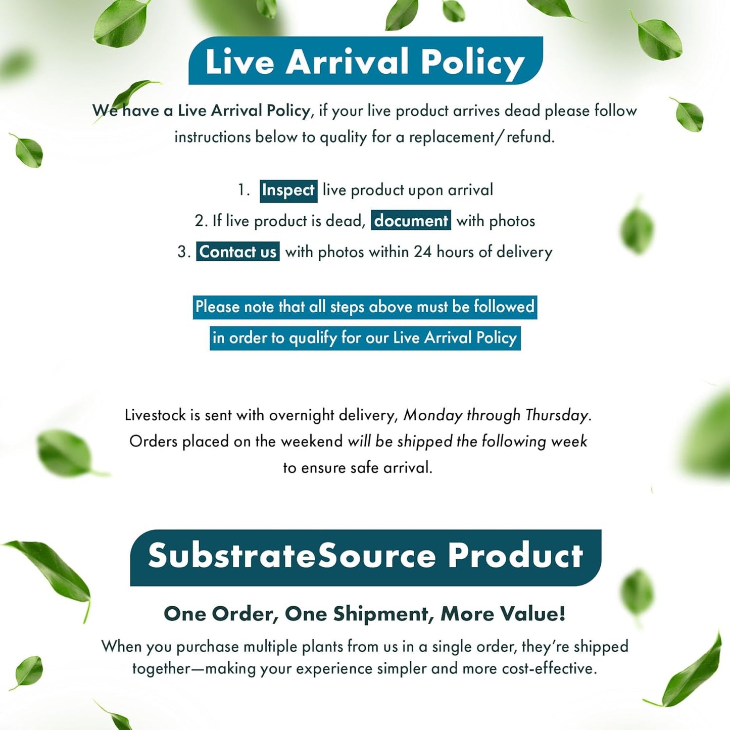 Live Aquarium Red Stem Plants - Freshwater Aquatic Plant for Fish Tanks, Aquascaping - (Lemon Bacopa Caroliniana, 1 Bunch)