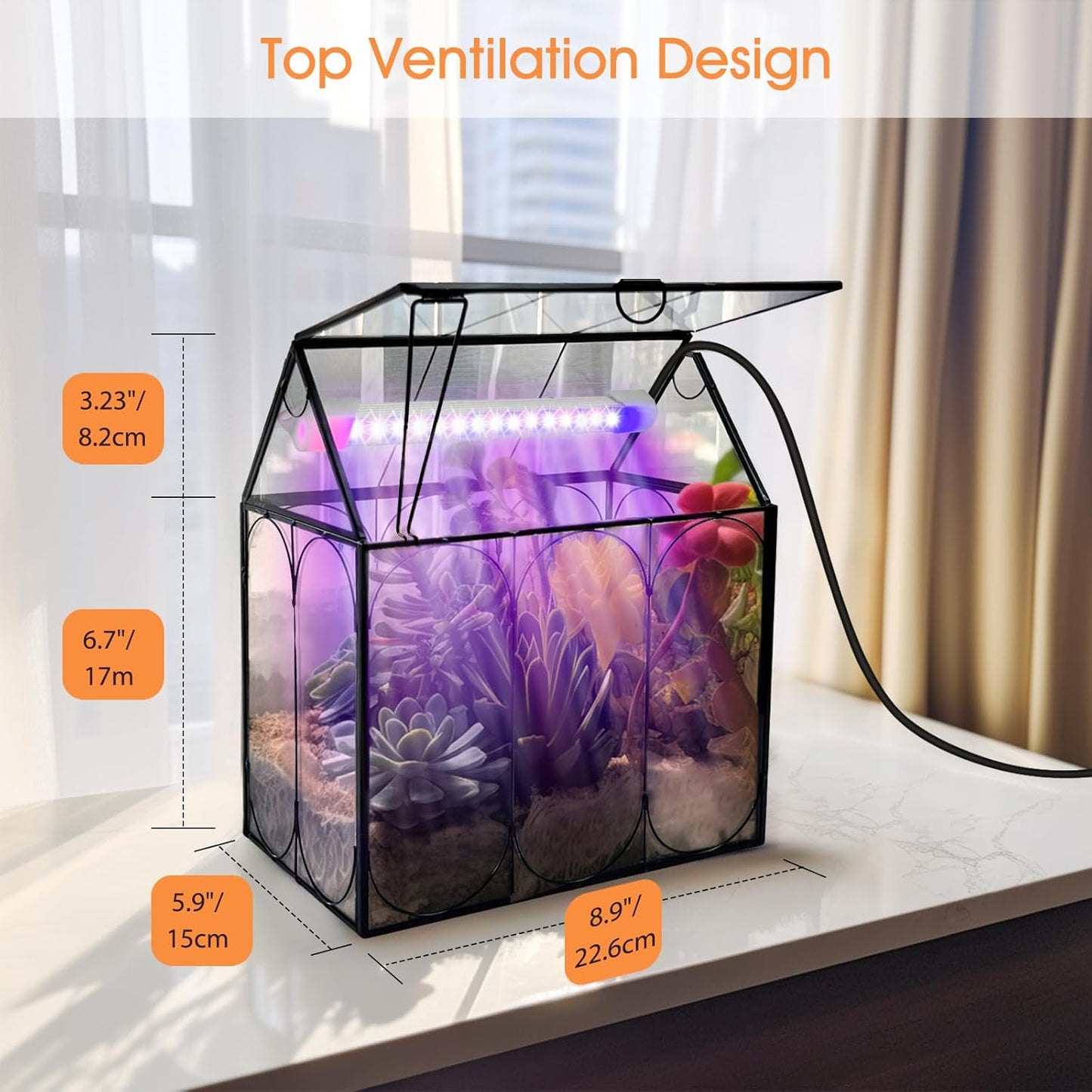Plant Terrarium Kit with Grow Light, Rifny Large Glass Terrarium Jar with Absorbent Mat and Lid for Venus Fly Trap Succulent Live Air Plants Indoor Home Office Decor (Black, 8.9 x 5.9 x 9.9 inch)