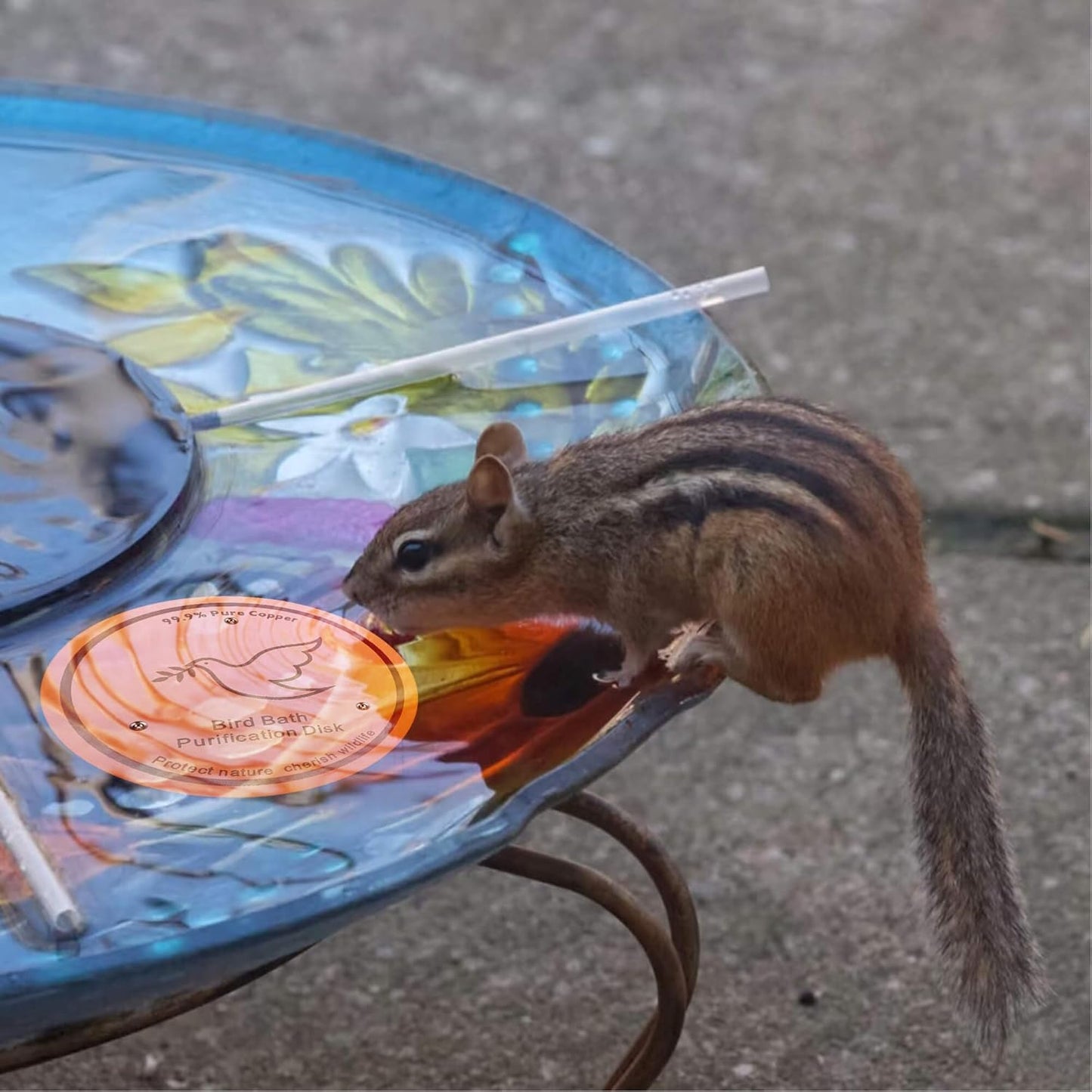 2Pack Bird Bath Copper Purification Disk | 0.6mm Reinforced 99.9% Pure Copper | Universal Fit for Outdoor Birdbaths(Birdbath Copper 2 Pack)