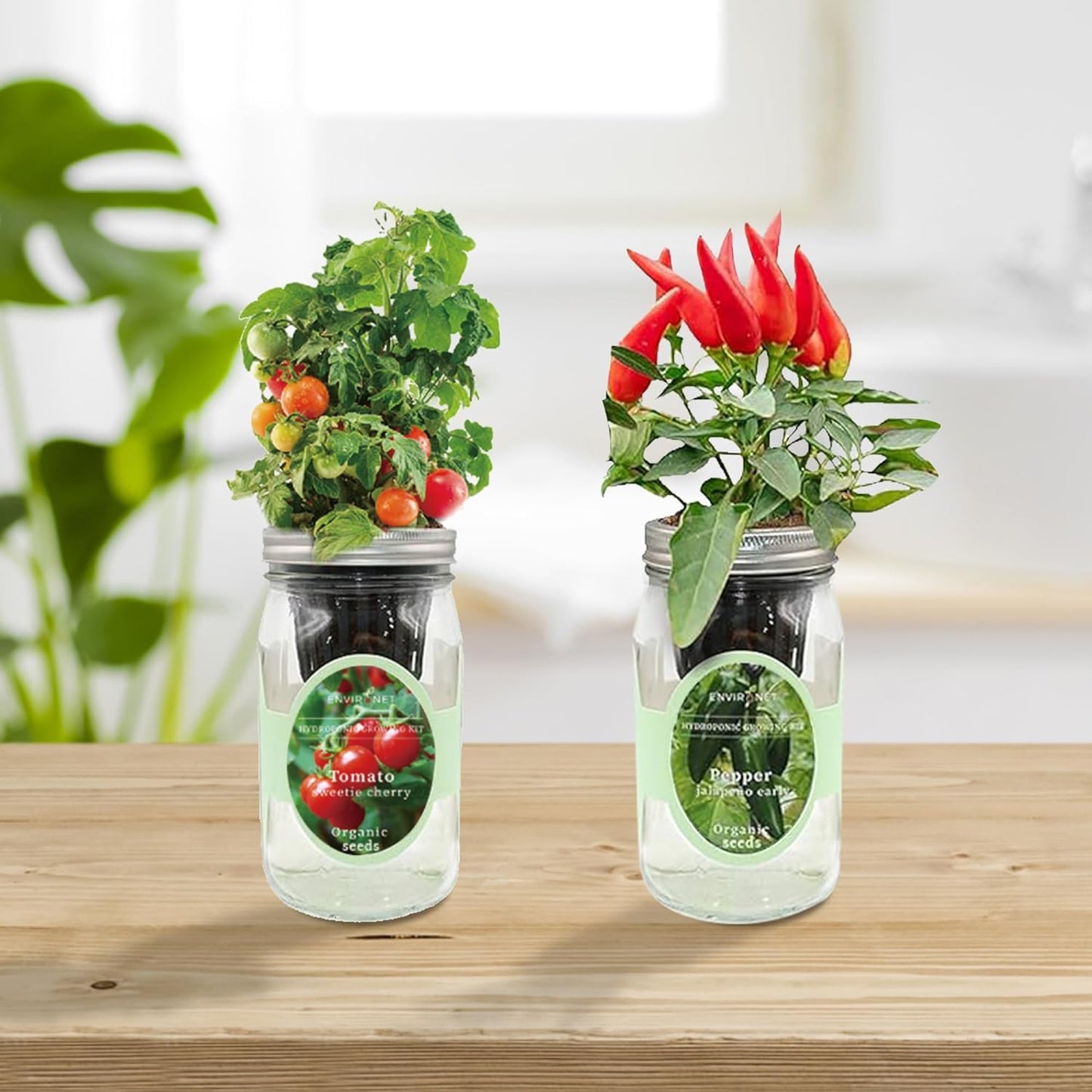 2-Pack Hydroponic Mason Jar Herb Garden Kit, Indoor Herb Garden Self-Watering Starter Kit (Cherry Tomato,Pepper)