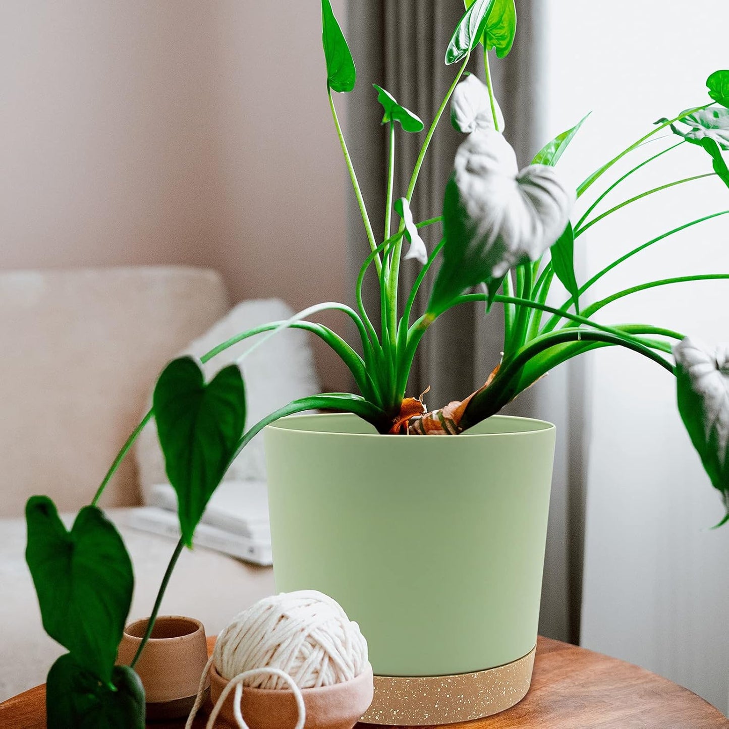 QCQHDU 8 inch Plant Pot, 2 Pack Planters for Indoor Plants with Drainage Holes & Saucer, Outdoor Flower Pots Home Garden Modern Decor