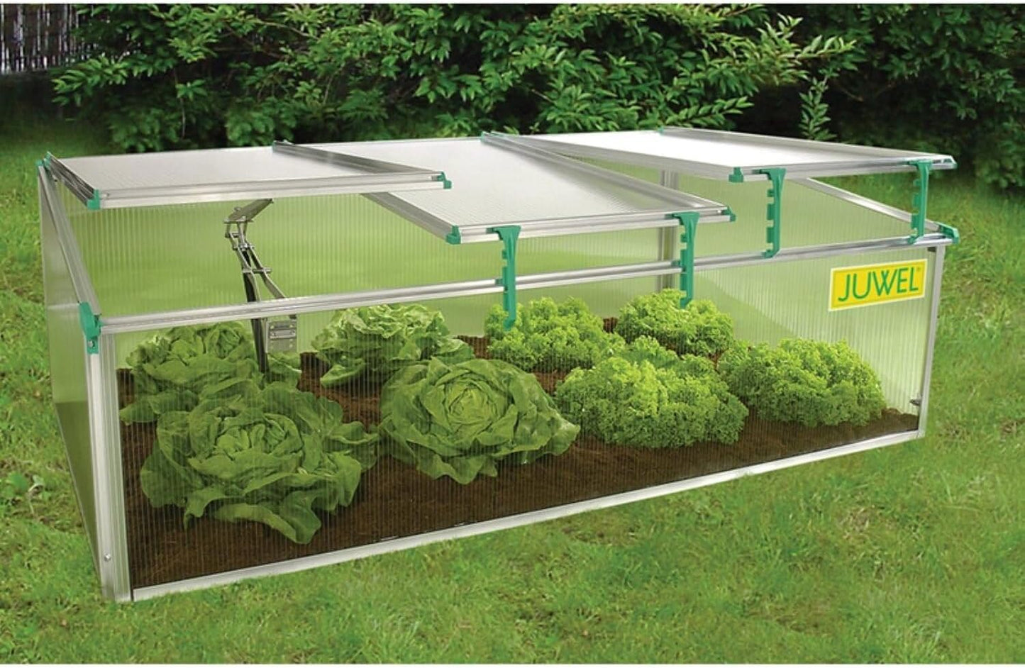 Victorian Cold Frame Gardening Kit - Metal Frame, 3 Windows, 59x32x4 Inches 142