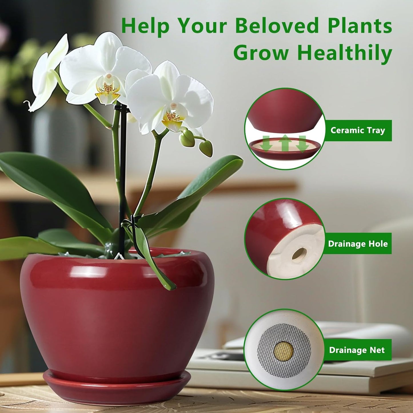 Ceramic Pot for Plants - 6 Inch Plant Pot Indoor with Drainage Hole and Saucer Succulent Outdoor Planter Round Flower Pot for House Patio Decor Red