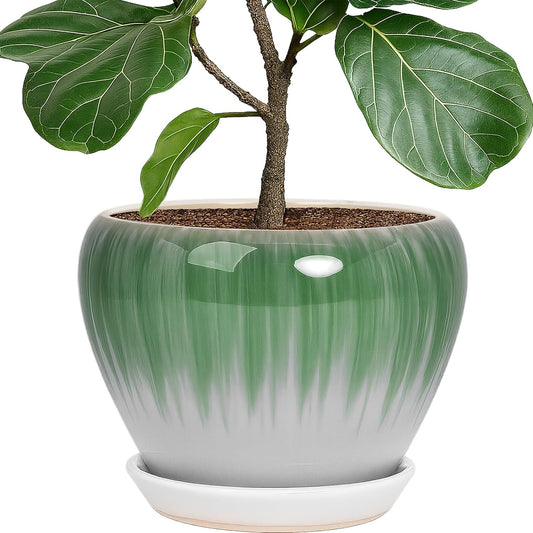 Deep Dream 10 Inch Plant Pot- Ceramic Planter Pot Round Plant Pots for Indoor Plants Outdoor Large Flower Pot with Drainage Holes & Trays, White&Green