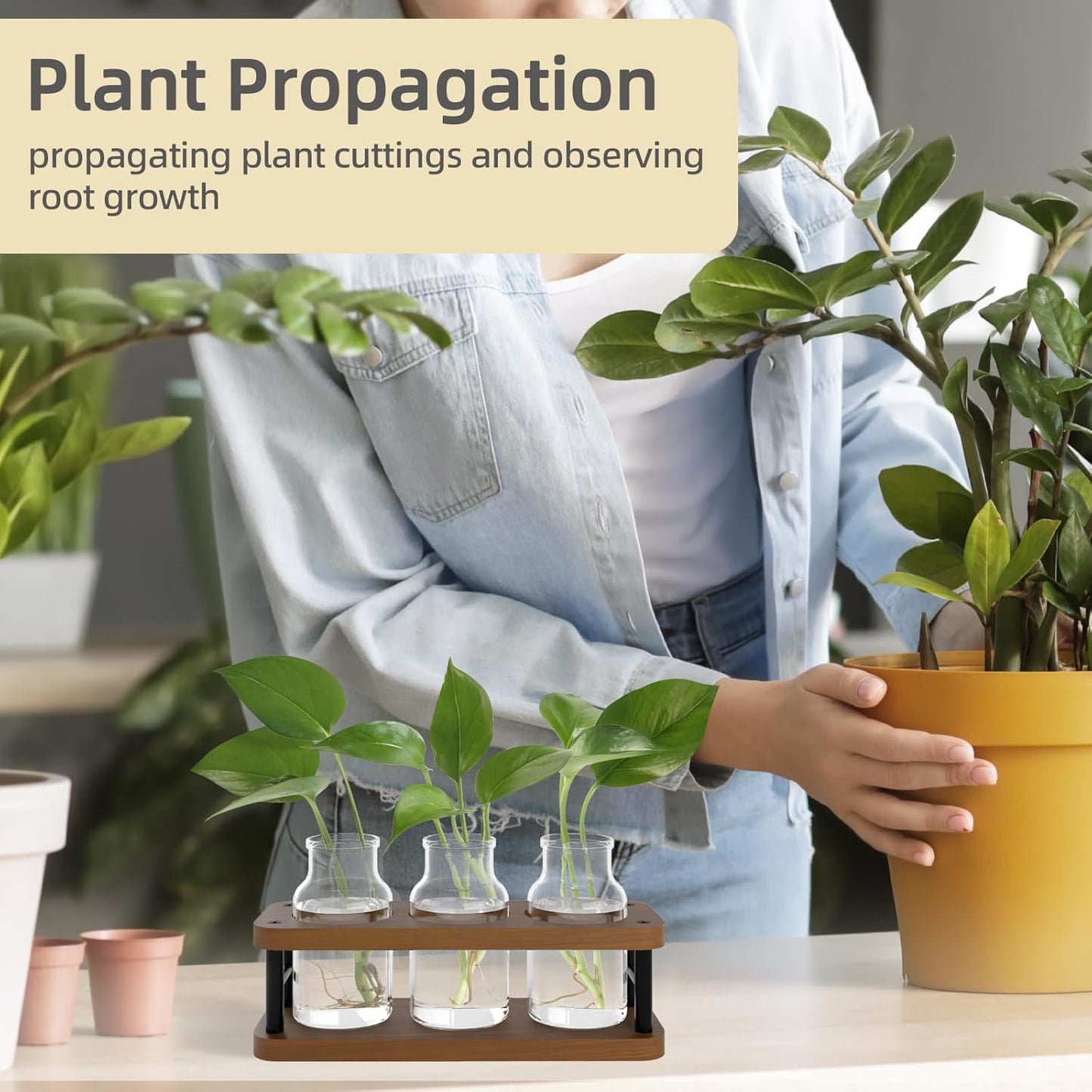 THYGIFTREE Plant Propagation Station with Wooden Stand, Propagation Vases Glass Planters for Indoor Plants Hydroponic Propagating Jars Home Office Decor, Brown