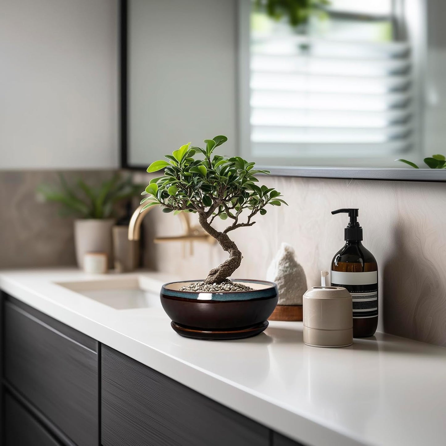 SQOWL Succulent Pots with Drainage Hole - 6 Inch Ceramic Bonsai Tree Pots, Shallow Planter with Saucer, Round Plant Pot for Succulent Indoor Outdoor, Porch Decor, Gifts for Plant Lover, Blue-Brown