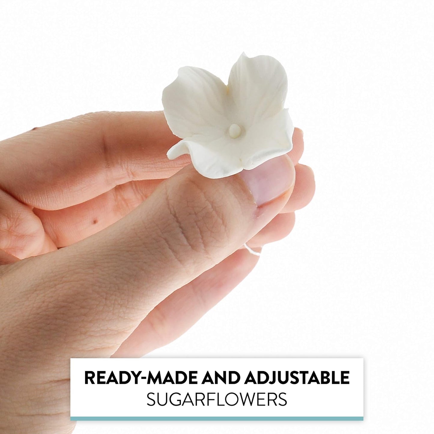 Global Sugar Art Hydrangea Blossom Edible Sugar Cake Flowers, Unwired, White, 144 Count by Chef Alan Tetreault