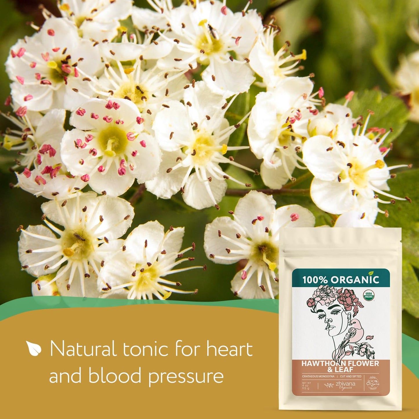 Super Value Pack 5 LB – Organic Hawthorn Leaf and Flower Tea - Hawthorne Leaves & Flowers for Herbal Tea – Natural Heart Health Support
