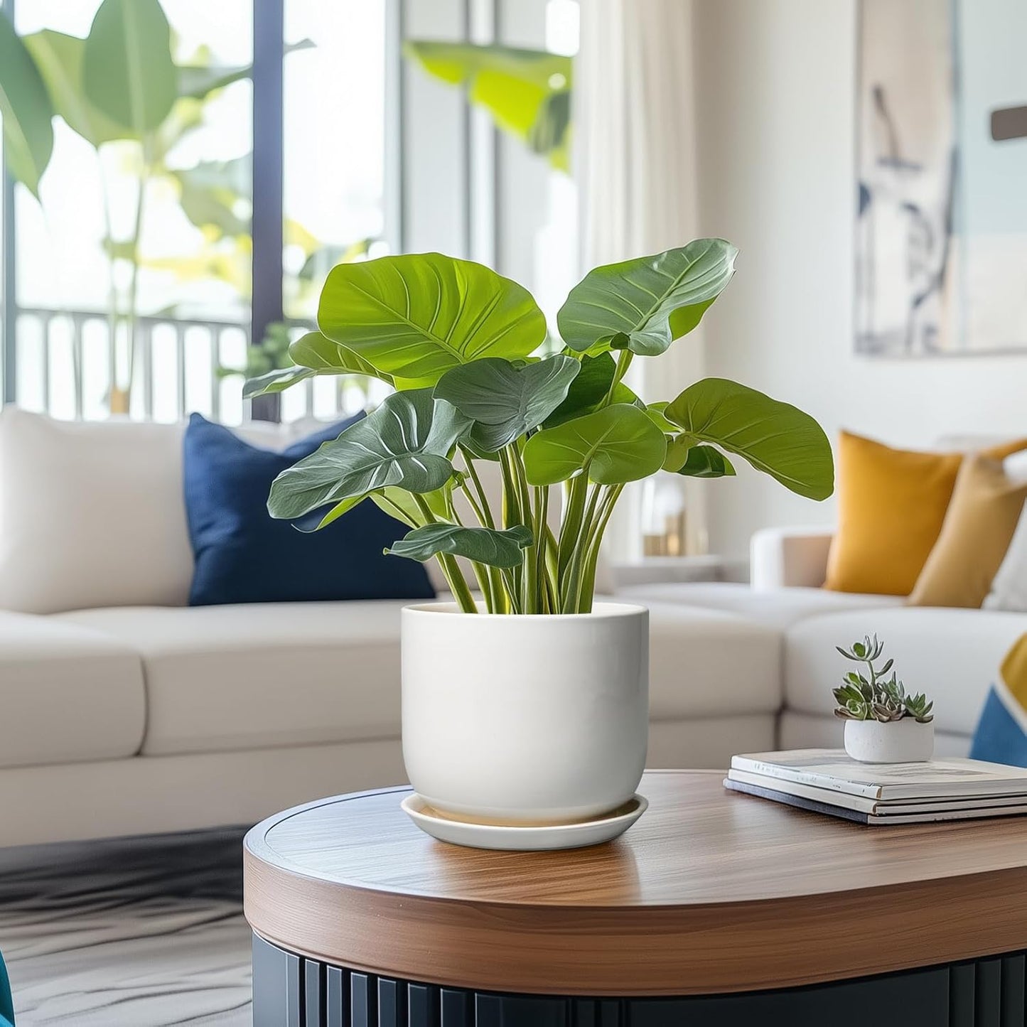 Ceramic Pot for Plants 7 Inch - Modern Round Indoor Outdoor Planter with Drainage Hole and Saucer, Home House Office Room Decor, White