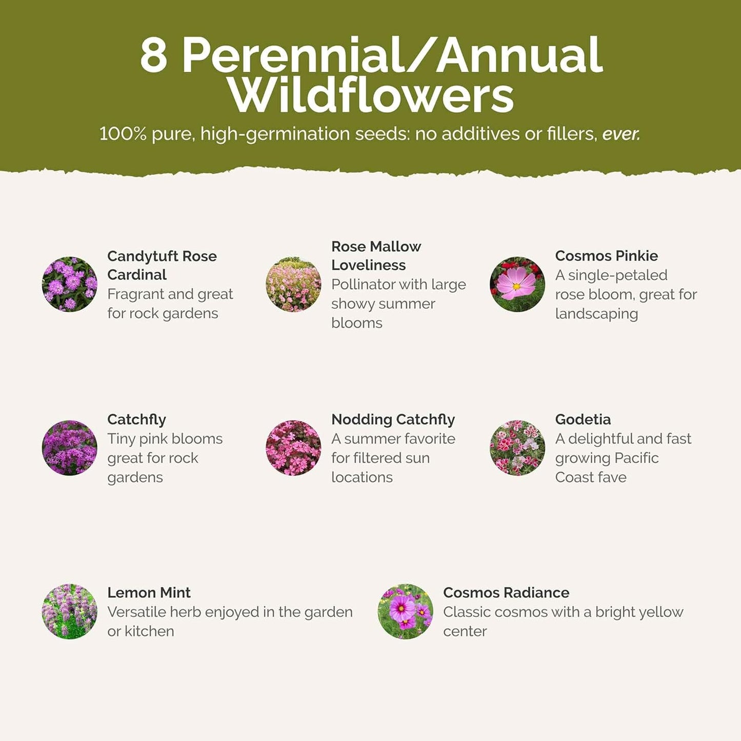 Eden Brothers Pretty in Pink Wildflower Mixed Seeds for Planting, 5 lb, 2,400,000+ Seeds with Candytuft, Rose Mallow | Attracts Pollinators, Plant in Spring or Fall, Zones 3, 4, 5, 6, 7, 8, 9, 10