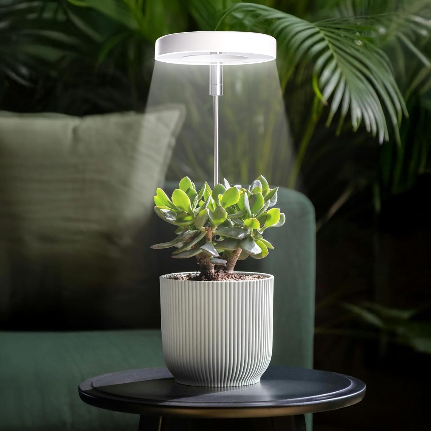 Grow Lights for Indoor Plants Small Potted - Full Spectrum, Auto 3/9/12H Timer, 10-Level Dimming & Adjustable Height - Compact Grow Light for Succulents, Herbs, Foliage in Home/Office (White,3PACKS)