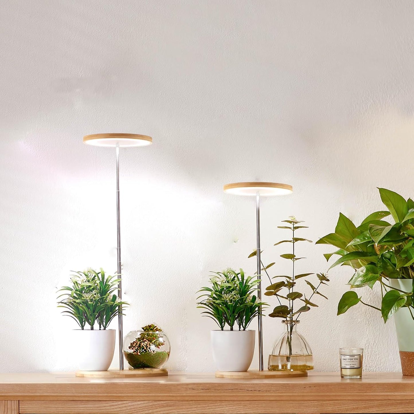 Plant Grow Light for Indoor Plant,Bamboo Mini LED Grow Light Garden,Height Adjustable,Automatic Timer with 8/12/16 Hours