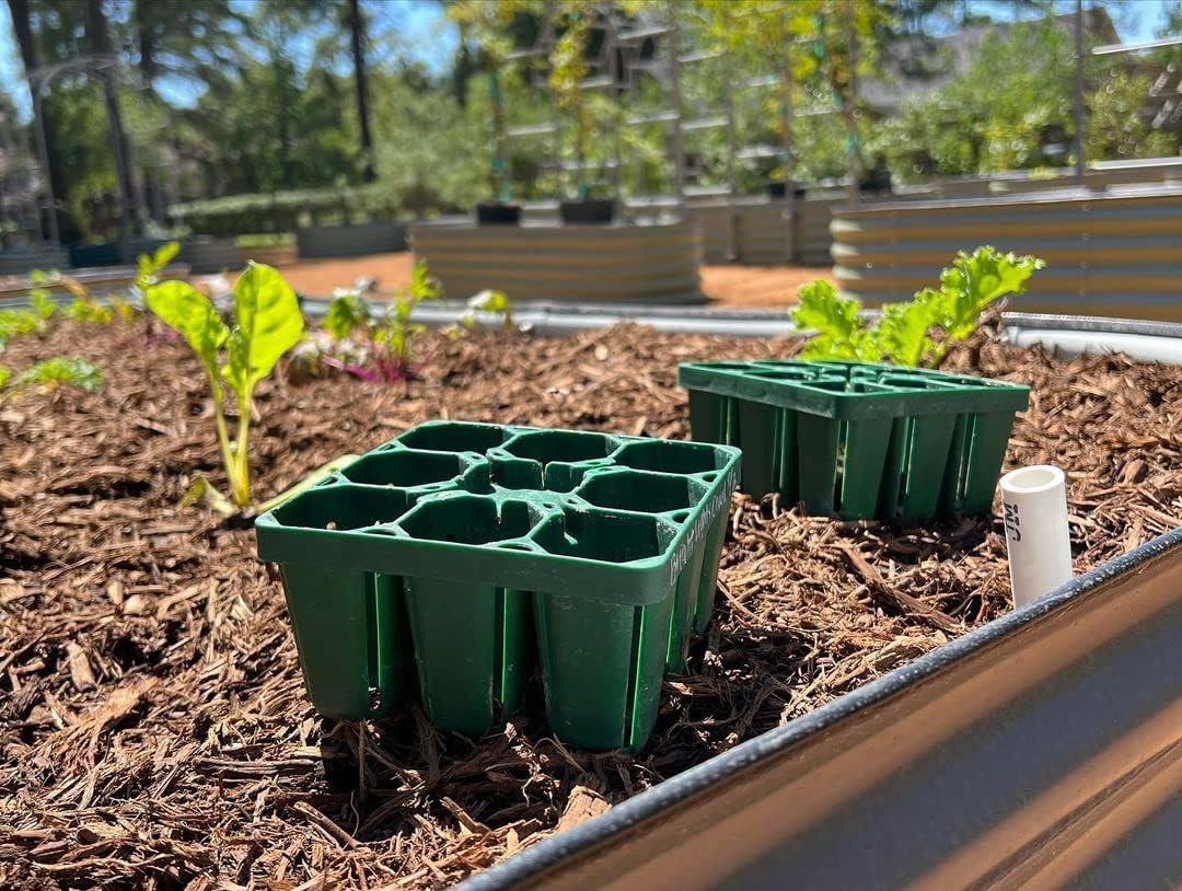 Vego garden Standard Seedling Trays Without Lids, 8 Pack for Seedlings Reusable Propagator Growing Starter Tray, Germination Trays Kit for Greenhouse/Garden (8-Cell per Tray)