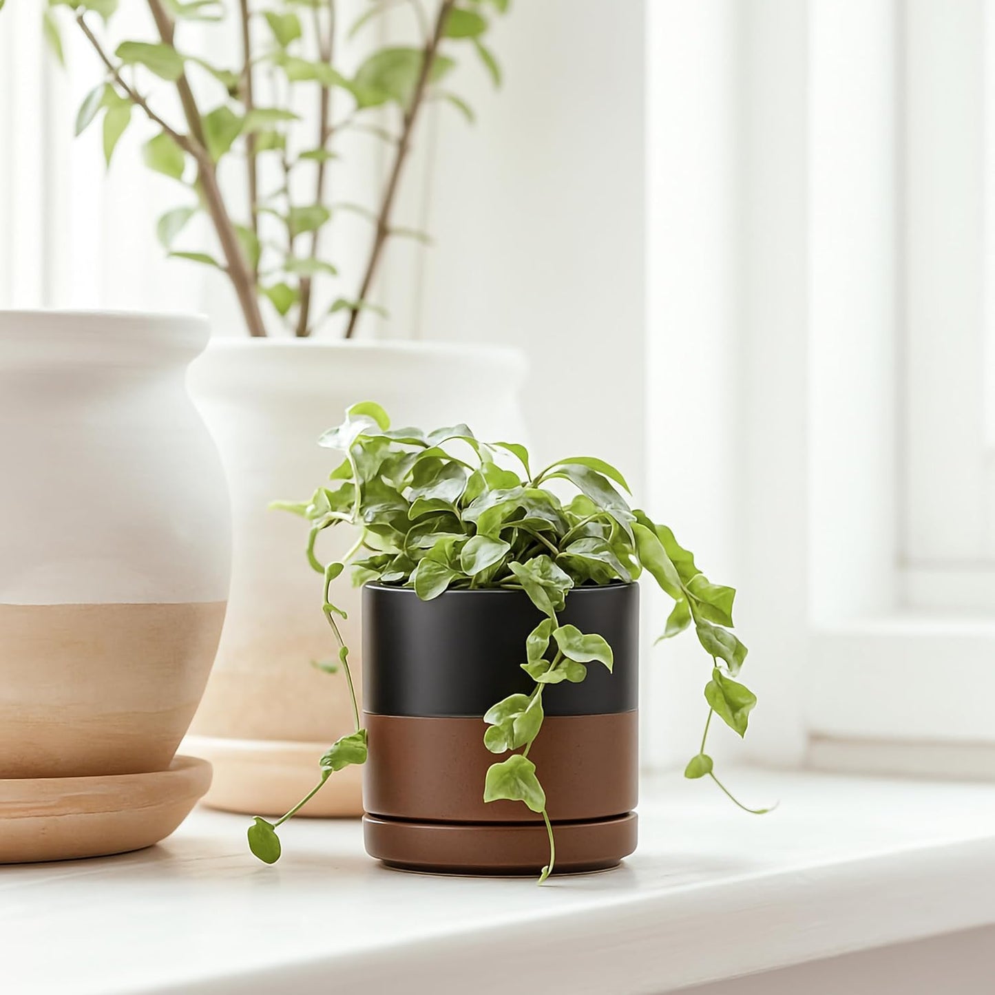 D'vine Dev Set of 2 Plants Pots, 3.5 Inch Ceramic Planter Pot for Plants with Drainage Hole and Saucer, Black/Speckled Tan, 94-V-A-7