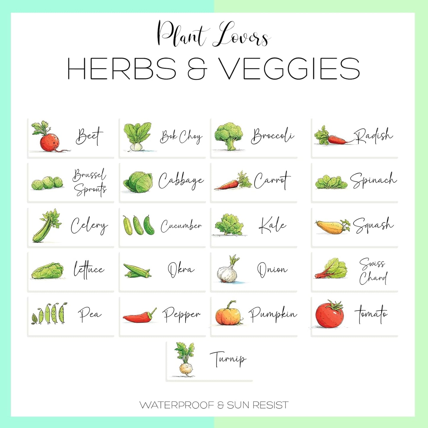 Herb Garden and Vegetable Label Signs - 100 PC Veggie Plastic Markers Stakes Picks Tags with 126 Cute Name Stickers Sign for Indoor Outdoor Potted Planter Planting Seed Nursery Bottle Supplies