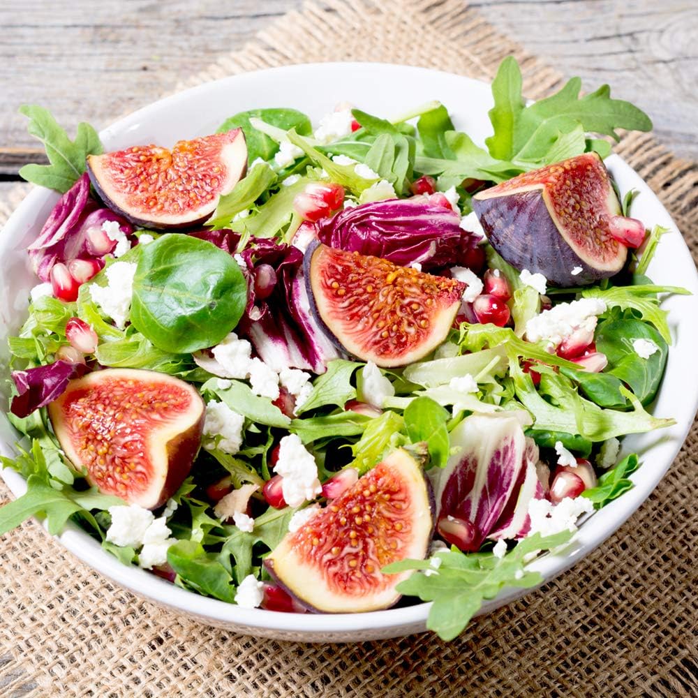 Perfect Plants Black Mission Fig Tree Live Plant, 3 Gallon, Includes Care Guide