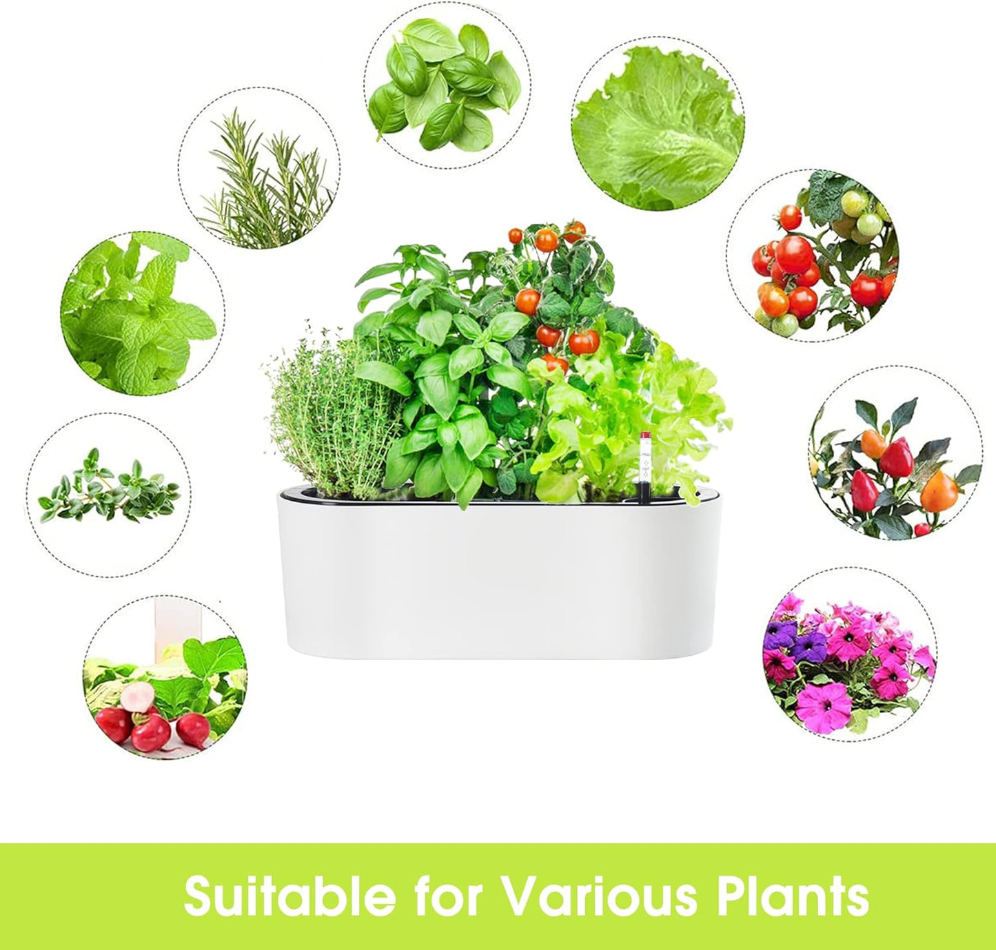 SAROSORA 16" Oval Self Watering Planter with Water Level Indicators for Plants & Flower Home Garden Outdoor Indoor Succulent | Herb pots | Window Box (1, Oval, White)