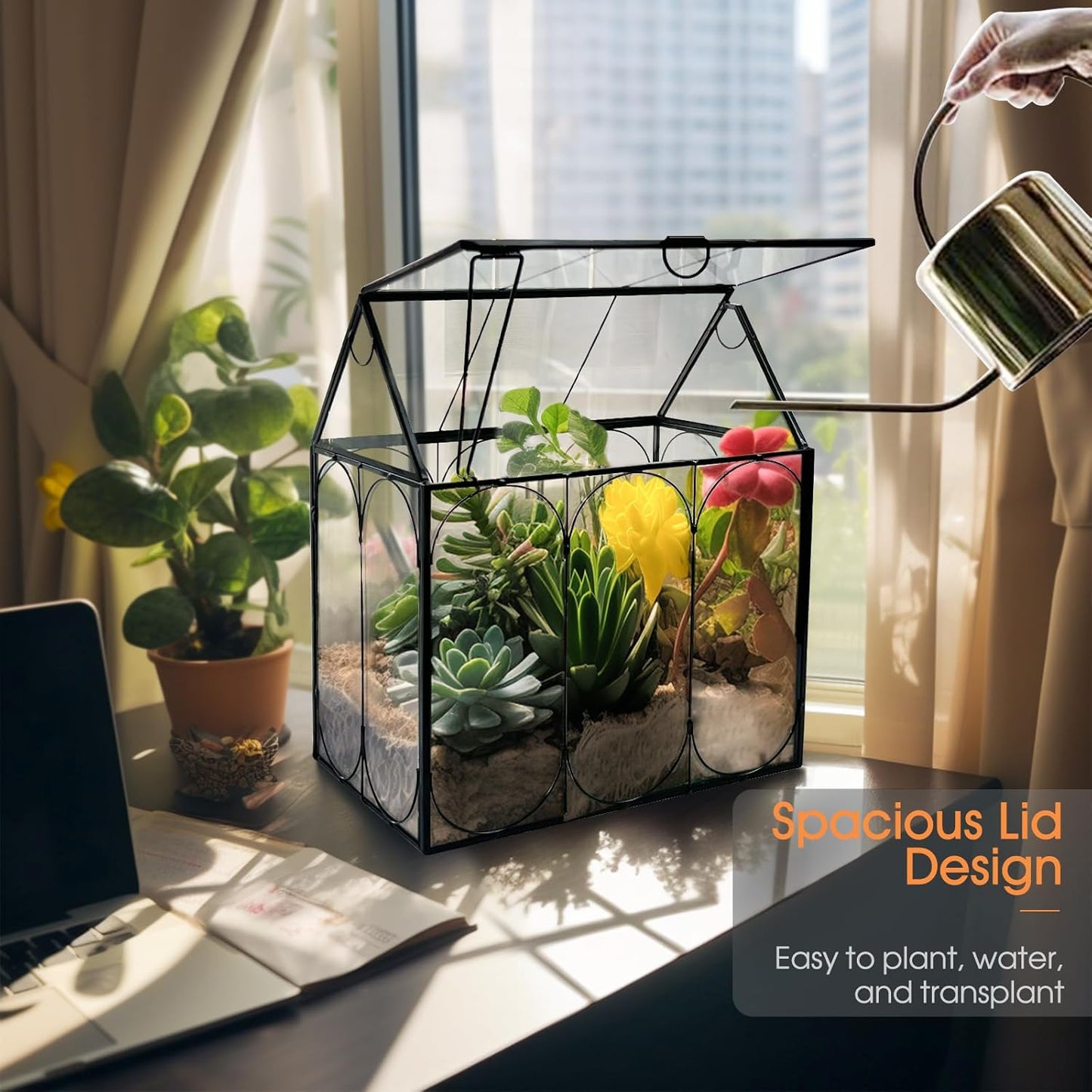 Plant Terrarium Kit, Rifny Small Glass Terrarium Jar with Absorbent Mat and Lid for Venus Fly Trap Succulent Live Air Plants Indoor Home Office Decor (Black, 7.1 x 4.8 x 8.8 inch)