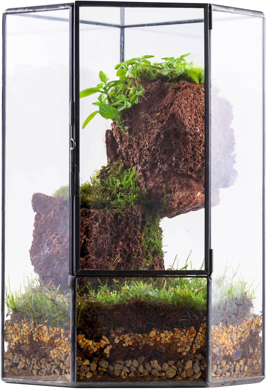 NCYP Front Opening Glass Terrarium with Door for Succulents, Small Plants - Closed Geometric Container Planter, Indoor Tabletop Wall Corner Landscape Decor, Black, 5" x 5" x 9.8" (Terrarium Only)
