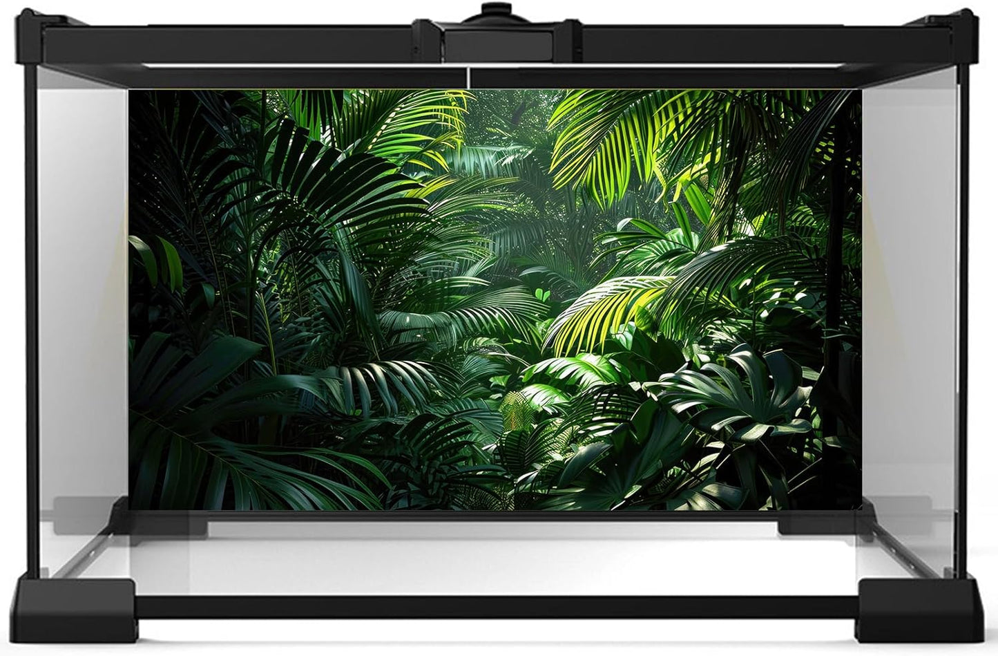 Aquarium Background Enchanting Beauty of Jungle Terrarium Backdrop Nature Jungle Green Leaf Palms Fish Tank Background Reptile Habitat Backdrop Wallpaper Poster Decor Vinyl 48x18in