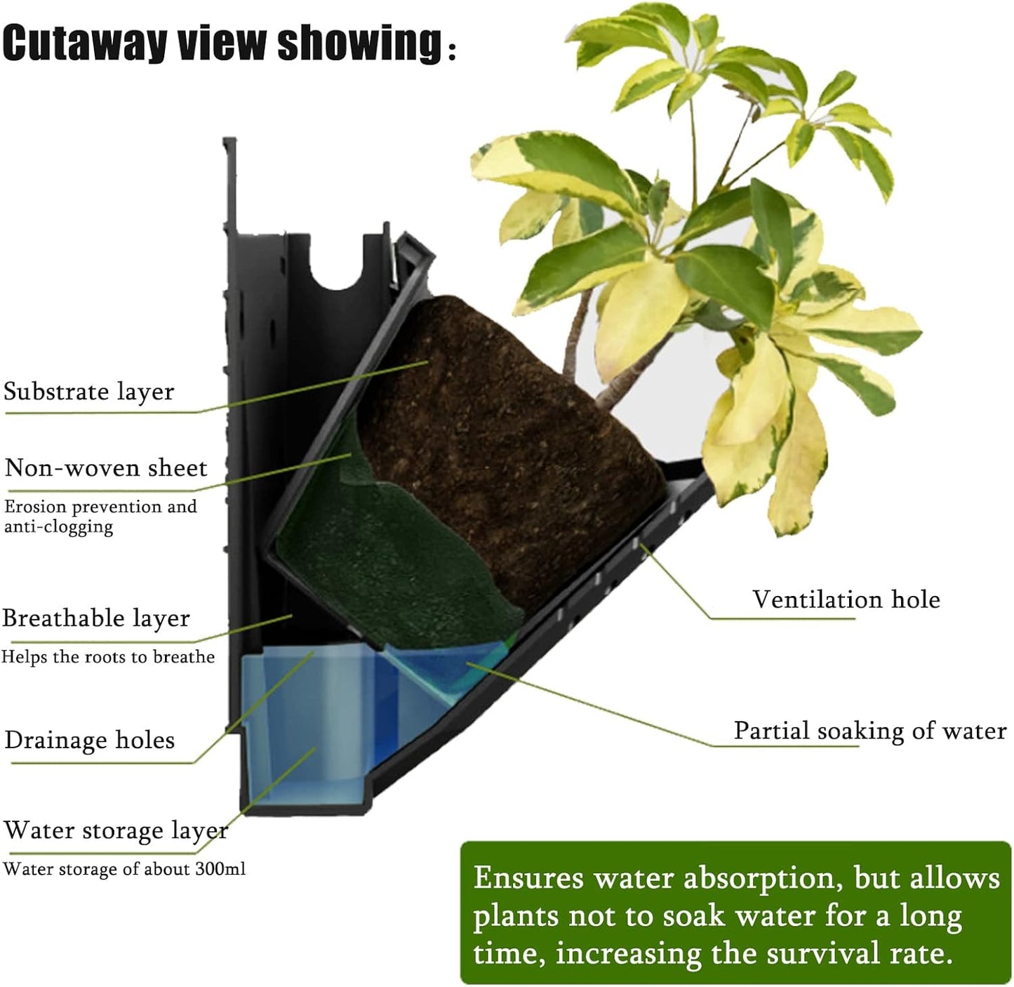 Self Watering Wall Planter with 36 Pots, Vertical Garden Planter for Indoor Plants, Mounted planters Hanging Flower Herbs Vegetables, Wall Garden for Home (Black)