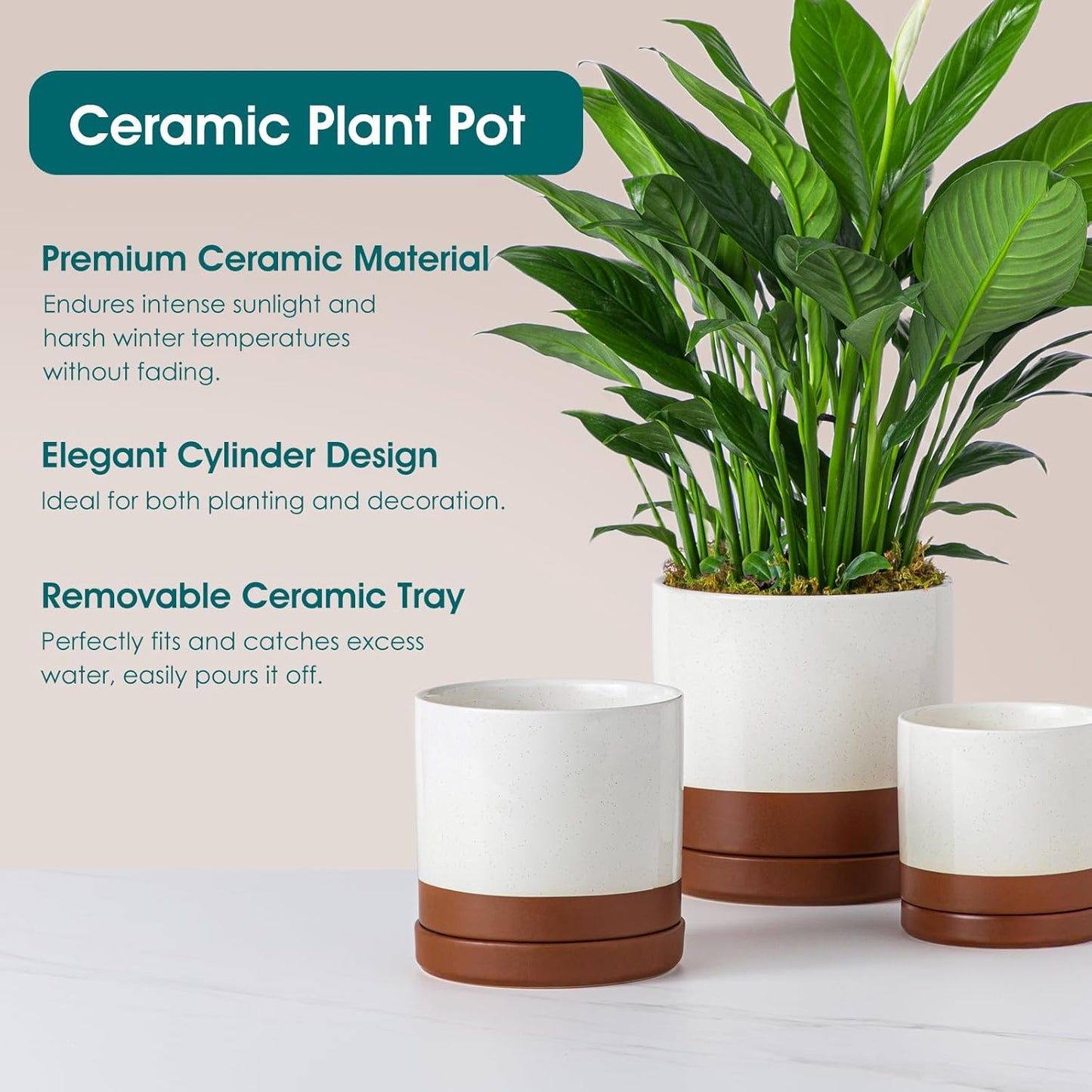 vancasso Ceramic Plant Pots, 3 Piece Planters for Indoor Plants, 4.25+5.25+6.25 Inch Flower Pots with Drainage, Plant Pots Indoor for Succulent, Pothos, Snake Plant and Money Tree, Etc (Khaki)