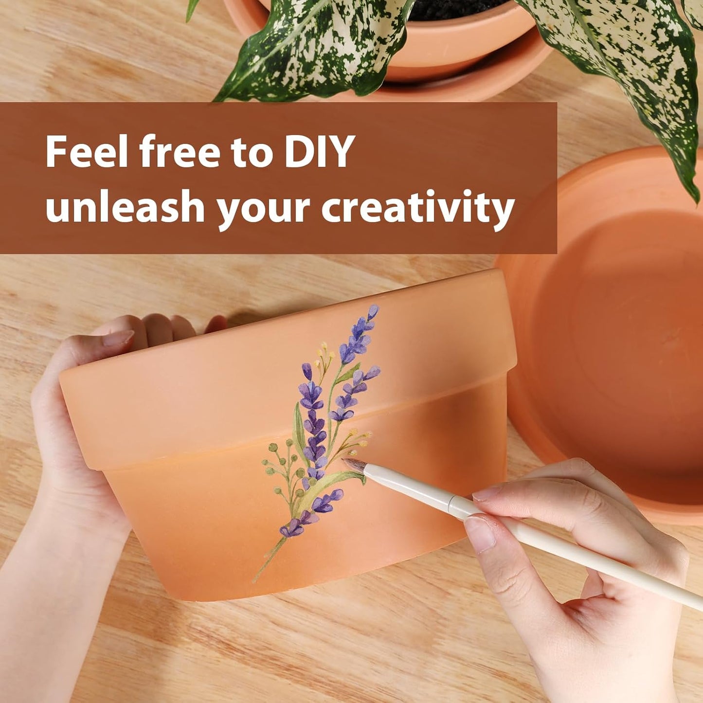 INGOFIN 8 Inch Terracotta Shallow Pots Set with Saucer - Ceramic Clay Pots with Drainage Hole, Terra Cotta Pot for Plants for Indoor Outdoor Plants, Set of 2