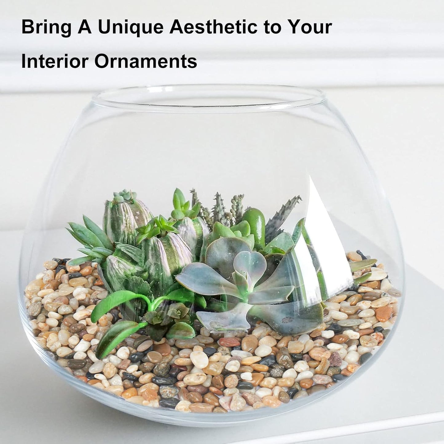 GASPRO 5 Pound Pebbles for Indoor Plants, 3/8 Inch Decorative Rocks for Vase, Succulents, Highly Polished, Mixed Color