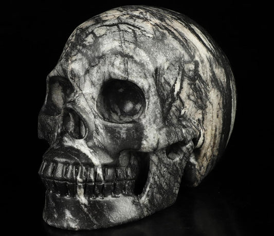 Skullis 5.0”Picasso Jasper Crystal Skull, Hand Carved Gemstone Fine Art Sculpture, Reiki Healing Stone Statue.2634.