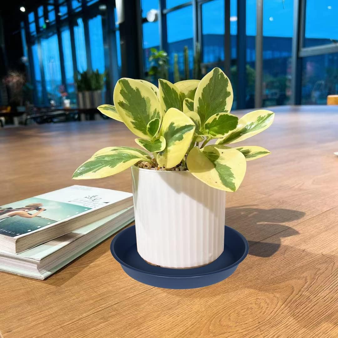 6 Pack Plastic Plant Saucer Planter Water Drip Tray, 4 5 6 7 8 9 10 11 12 inch, Heavy Sturdy Tray for Indoors Outdoor Plants, Flower Pot Saucers for Pots Base (4", Blue)