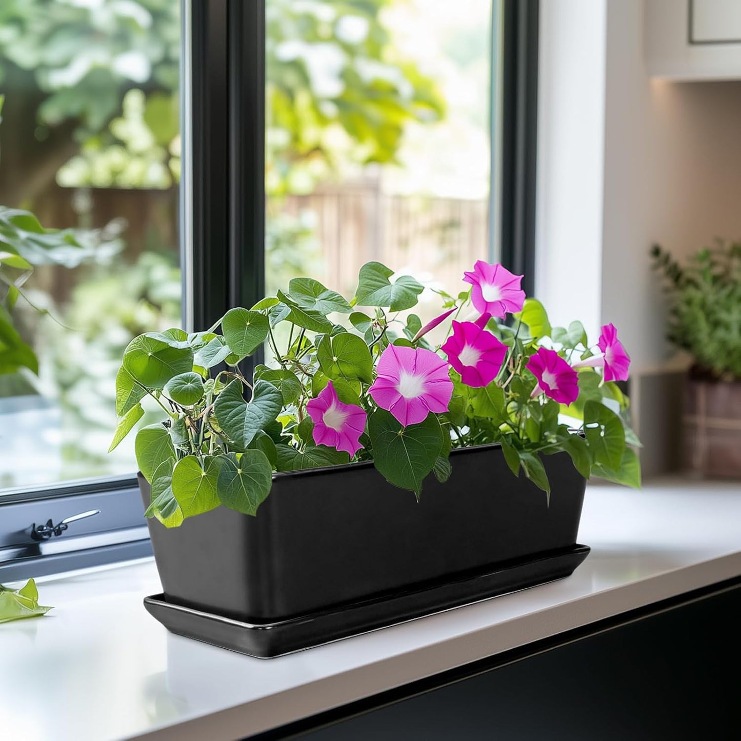 SQOWL Rectangle Planter - 10 Inch Ceramic Plant Pots with Drainage Hole and Saucer, Rectangular Succulent Planters for Indoor Plants, Flower Cactus Herb Pots Outdoor, Room Decor, Garden Gifts, Black