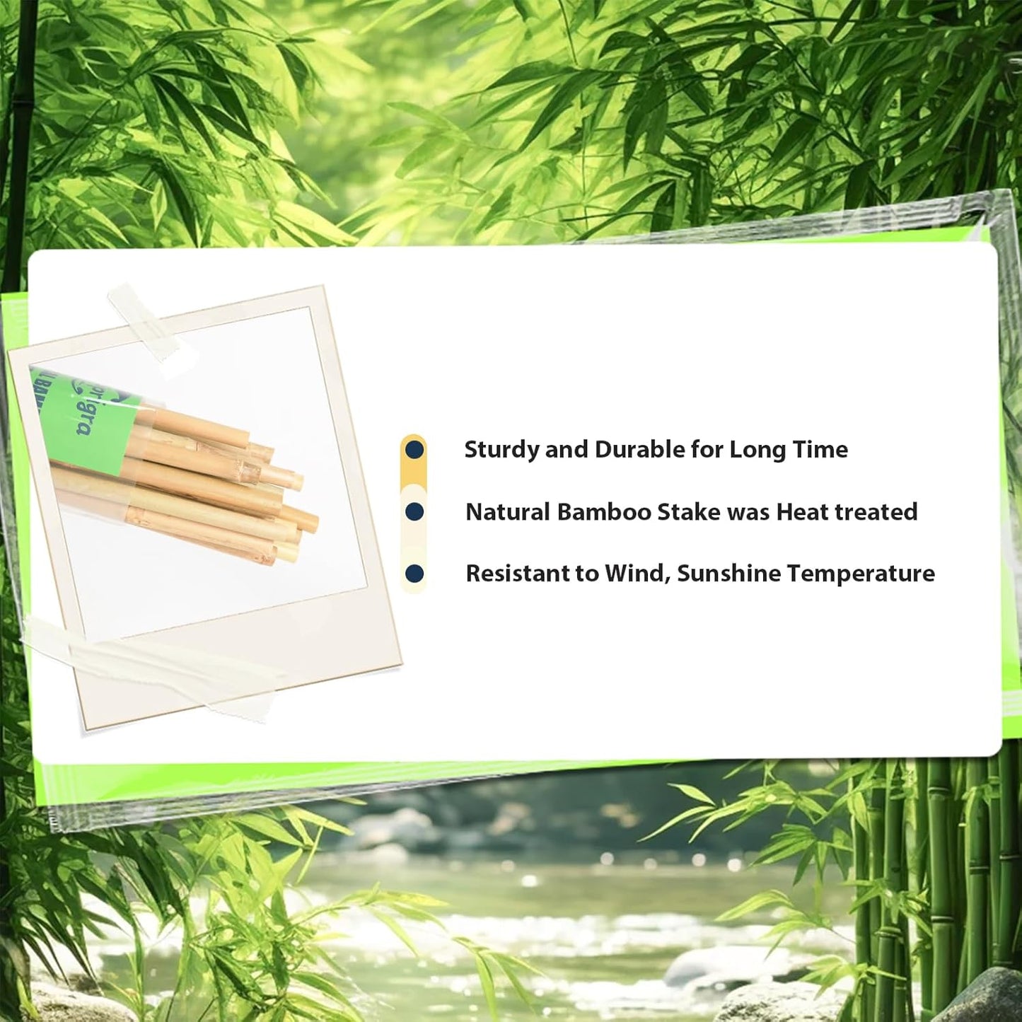 Bamboo Stakes 3 FT 30pcs, 36 inch Garden Stakes Multi-Purpose, Bamboo Plant Support Stakes for Tomatoes, Beans, Peppers, Flowers, Potted, Maintain The Plant Posture, Strengthen and Stem