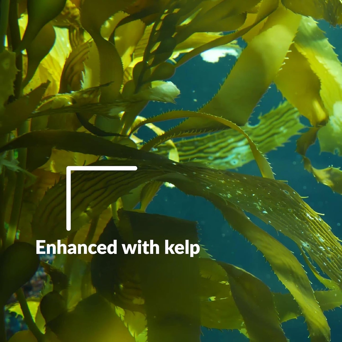 SUPERthrive Plant Vitamin Solution, 1 Gallon, Clear